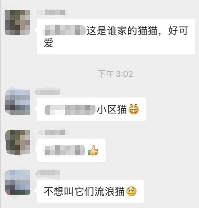 业主群聊天截图  武汉百步亭这家“月子中心”火了 网友:太暖心!